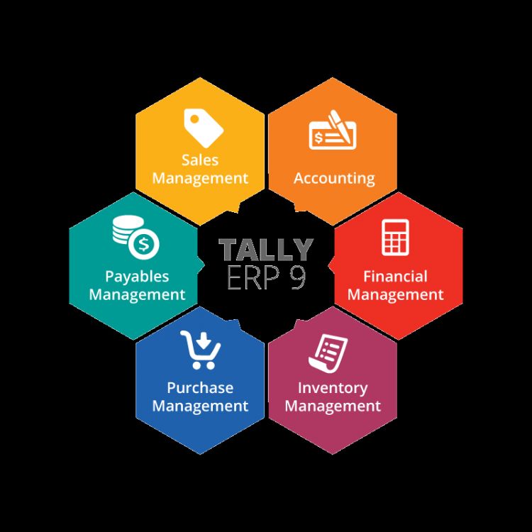 EXPERT TALLY ERP. 9 WITH GST AND PAYROLL