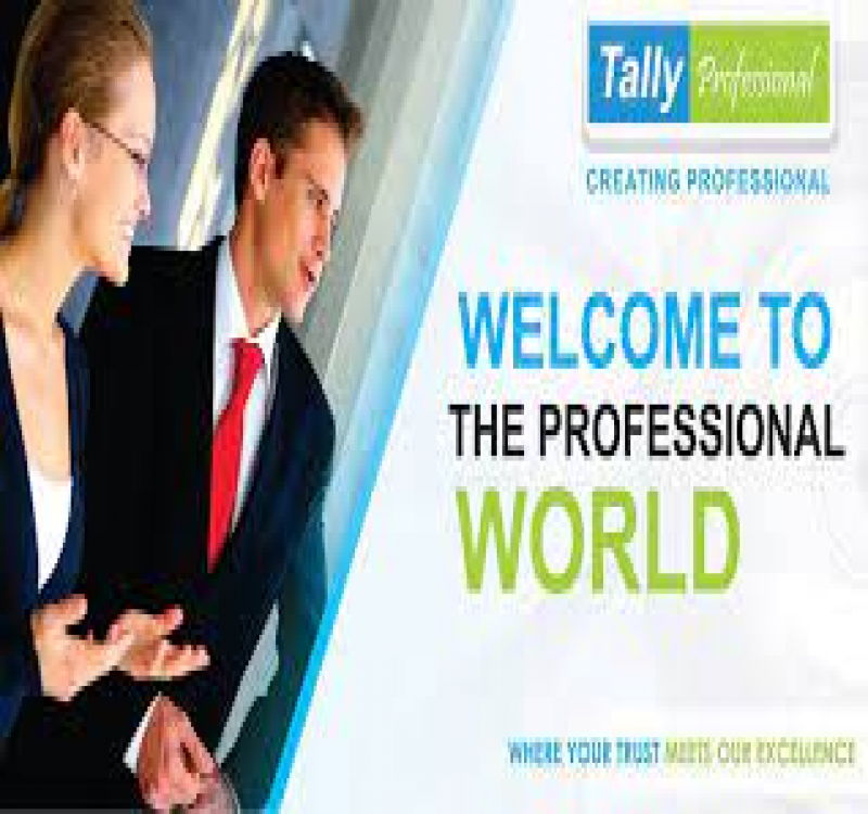 TALLY PROFESSIONAL